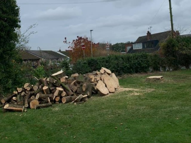 Tree Care Services Wexford, Tree Removal, Tree Topping, Tree Pruning, Branch Removal