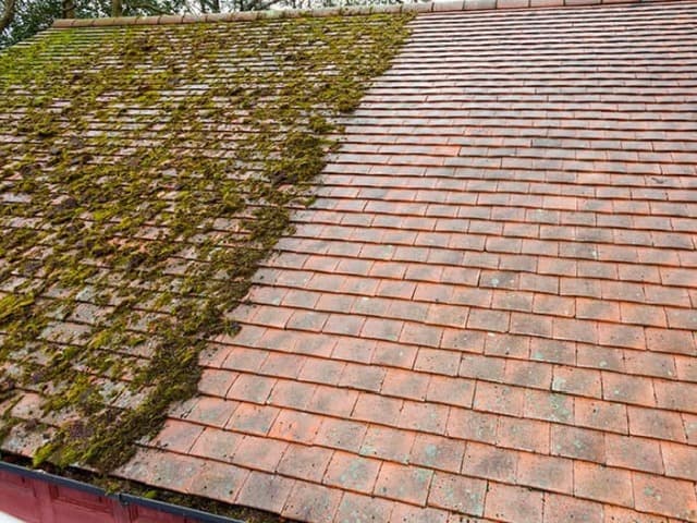 Soft Wash Roof Cleaning Wexford - Southeast Steam Cleaning and Tree Care